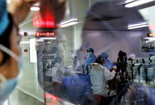 五年助推50個億級新品牌，拼多多新品牌計劃引領化妝品國貨崛起